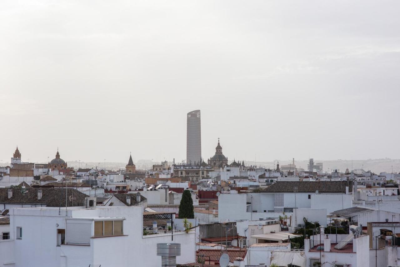 Mirador Puerta Carmona Apartamento