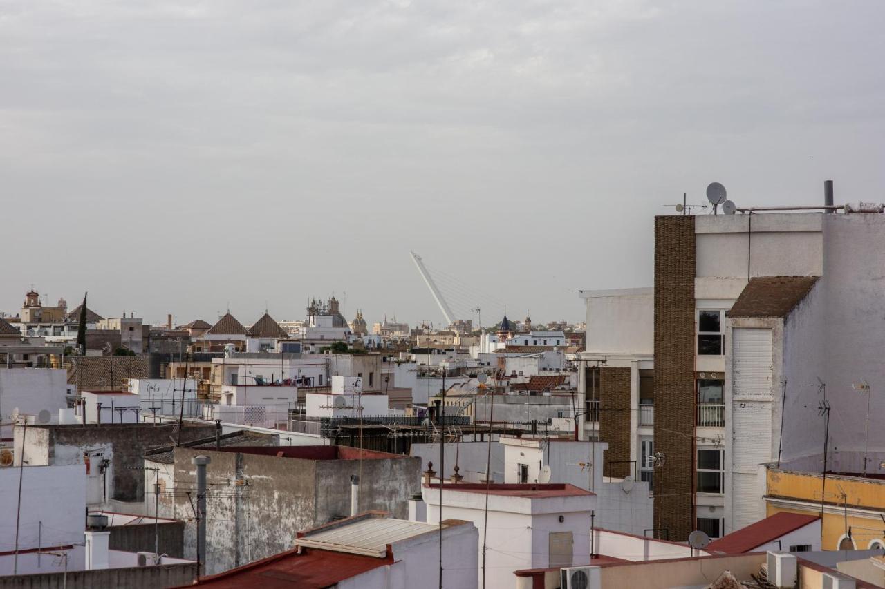 Mirador Puerta Carmona Apartamento
