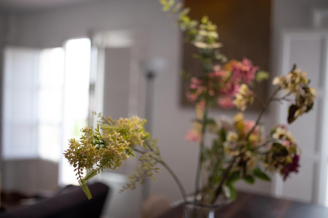Mirador Puerta Carmona Apartamento Sevilla